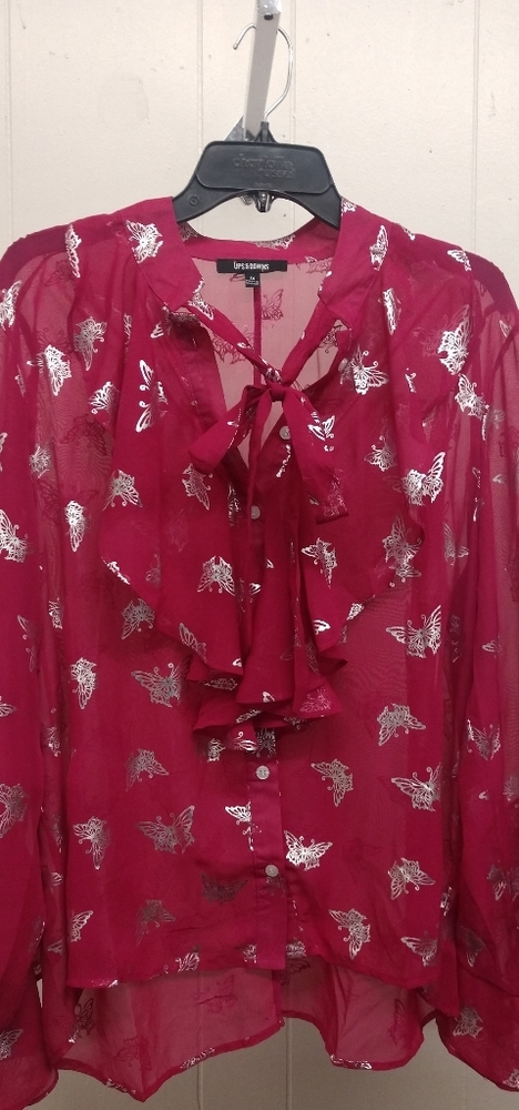 Trendy Woman's Sheer Blouse